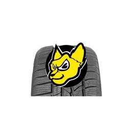 CONTINENTAL WINTER CONTACT TS 790 V 255/40 R17 98V XL M+S