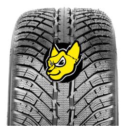 COOPER DISCOVERER WINTER 205/55 R17 95V XL