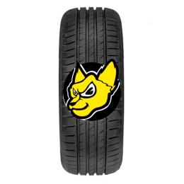 FORTUNA GOWIN VAN 205/65 R16C 107R