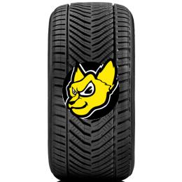 RIKEN ALL SEASON 195/55 R16 91H XL CELOROČNÍ