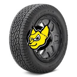 BF-GOODRICH TRAIL TERRAIN T/A 255/55 R20 110H XL M+S