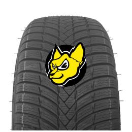 TRIANGLE TW421 EFFEXWINTER 225/45 R19 96V XL M+S