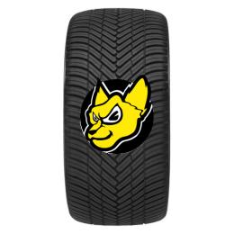 SUPERIA TIRES ECOBLUE 2 4S 205/55 R16 94V XL M+S