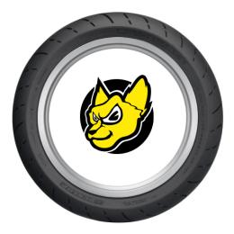DUNLOP ROADSMART III 150/70ZR17 (69W) TL