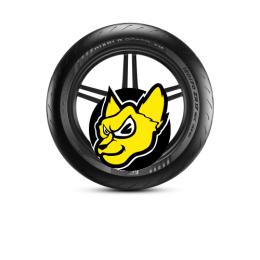 PIRELLI DIABLO ROSSO IV 110/70ZR17 54W TL